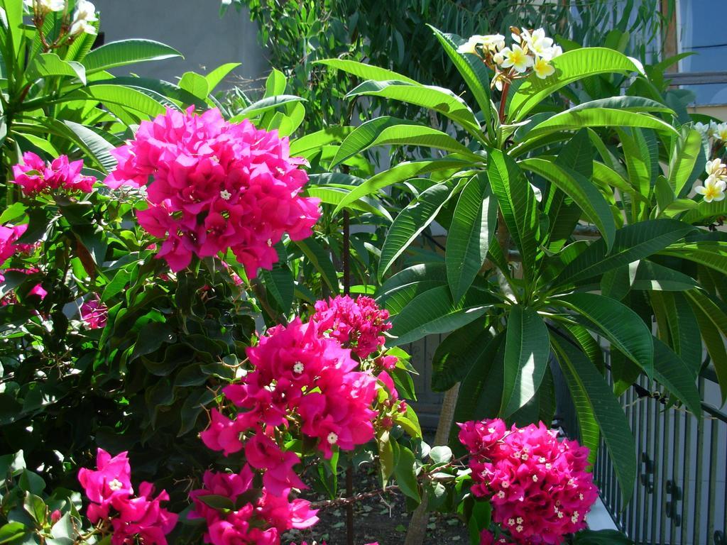 Callista Sea View Or Garden Kíssamos Rum bild